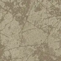 36107 Fragment