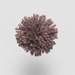 FdS Band 0 New Zealand Wool (W): W719 Rosy Brown