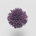 FdS Band 0 New Zealand Wool (W): W703 Grape
