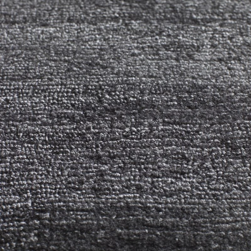 Santushti ct 400 500: Dolphin