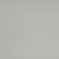 Silver Grey 21