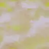 Kimi 1801