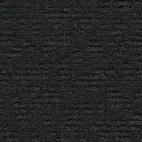 009-595