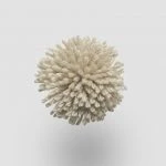 FdS Band 0 New Zealand Wool (W): W552 Olive Tree