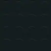 N004 Carbon