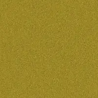 1237 Lemongrass