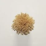 FdS Band 0 Botanical Silk Contract (TT): TT150 Honey Mustard