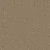 220 Acorn