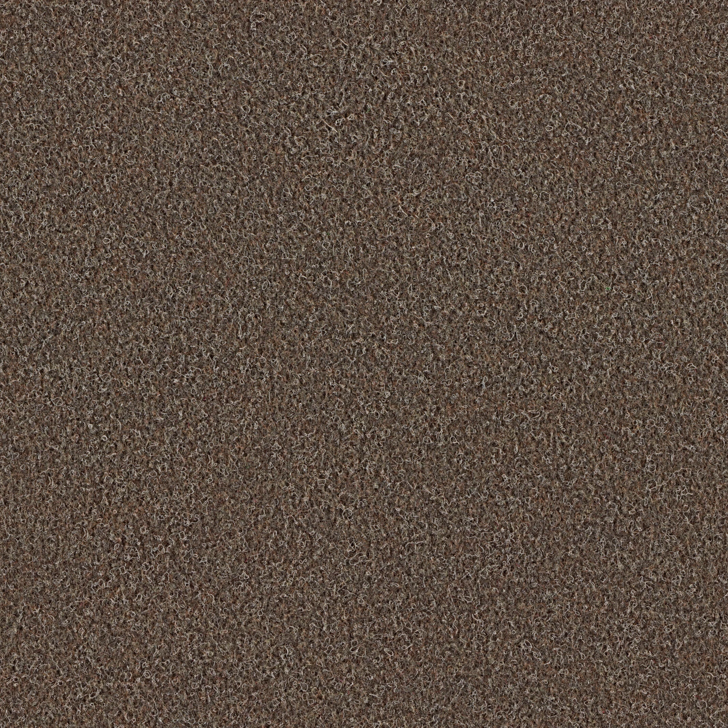 Scor 550 AP 200: 0558 Mokka