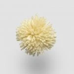 FdS Band 0 New Zealand Wool (W): W940 Yellow Cream