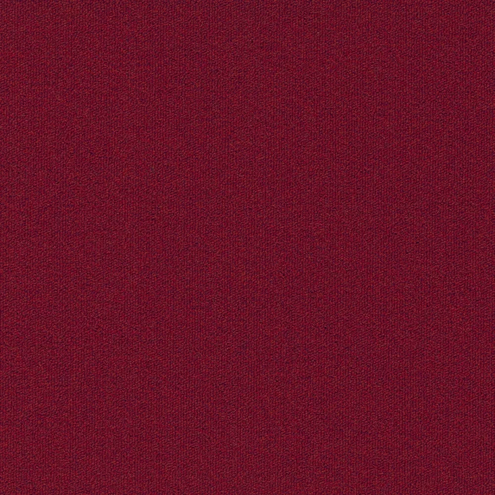 Millennium Nxtgen sd b2b 50x50 cm: 355
