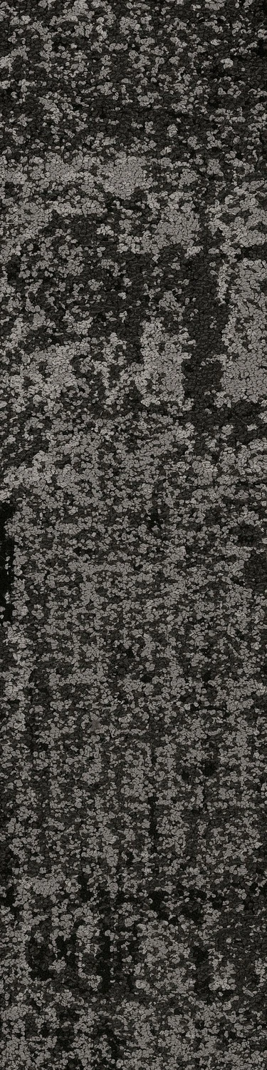 Haven Familiar tw sd 25x100 cm: Espresso 35585