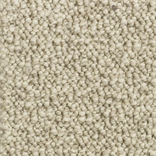 Berlin jt 400 500: 276 Dune