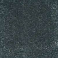 529419
