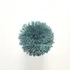 T36 Blue Coral