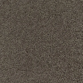 Kashmir ltx 200: 091028-050