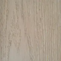 Bianco Luna showroom slunce