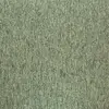 20282 Greenland Fern