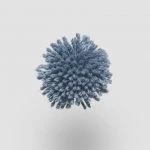 FdS Band 0 New Zealand Wool (W): W604 Denim