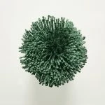 FdS Band 0 Botanical Silk (T): T81 Evergreen