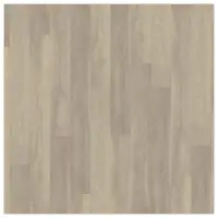 9041 China Oak