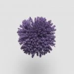 FdS Band 0 New Zealand Wool (W): W992 Purple Magic
