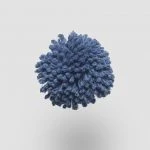 FdS Band 0 New Zealand Wool (W): W760 Imperial Blue