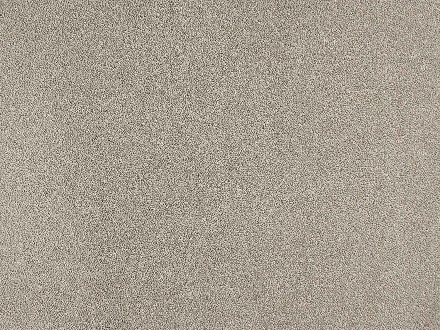 Chablis 100% Nylon lxb 400 500  : 130106 Old Taupe