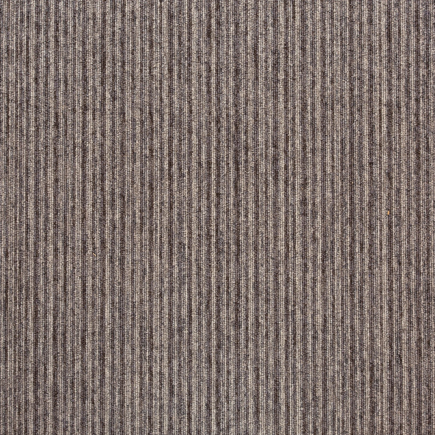 Tivoli sd acc 50x50 cm: 20711 Seychelles Beige