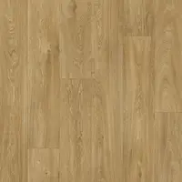 Havanna Oak 662M