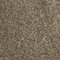 ST11 Beige