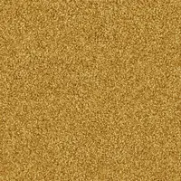 1501 Gold