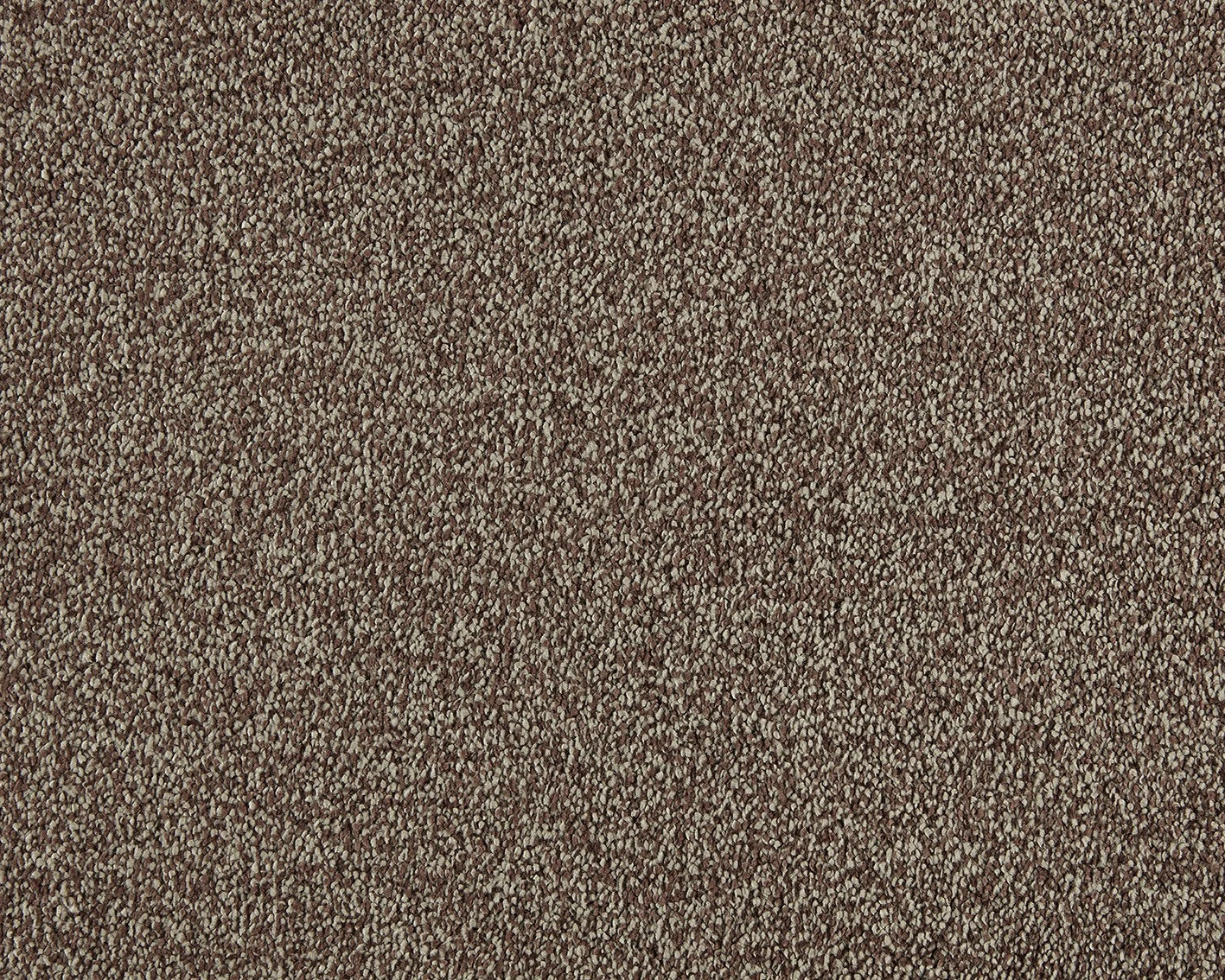 Valentine 22 sb 400 500: 270 Almond