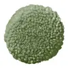Bayleaf