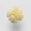 W940 Yellow Cream