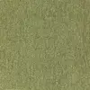 21811 Green