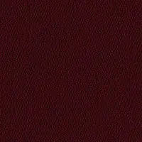 1007 Rubin