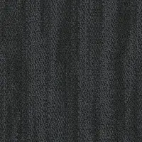 Patent 79505