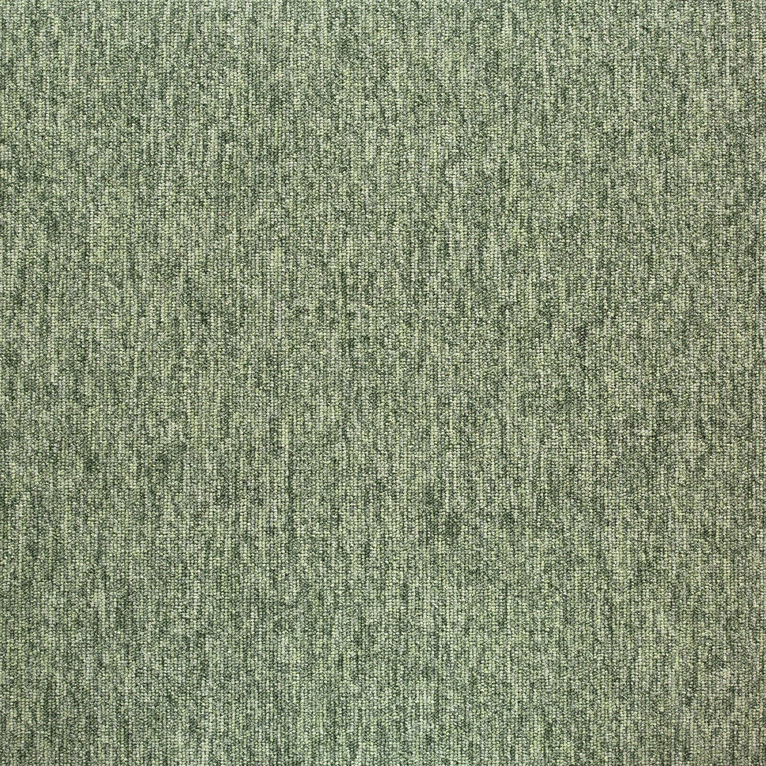 Tivoli sd acc 50x50 cm: 20282 Greenland Fern