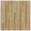 2481 Bayside Oak