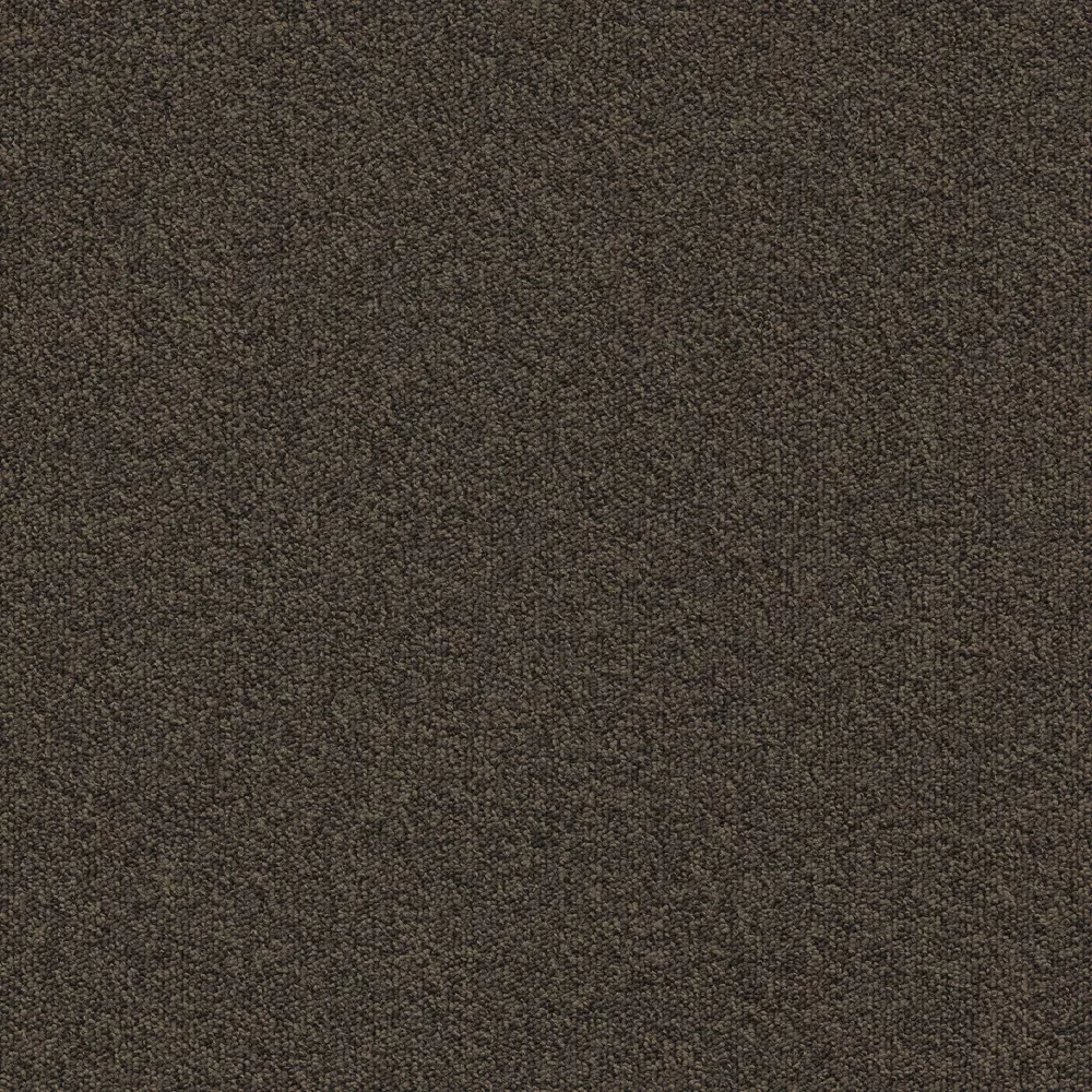 Millennium Nxtgen sd b2b 50x50 cm: 883