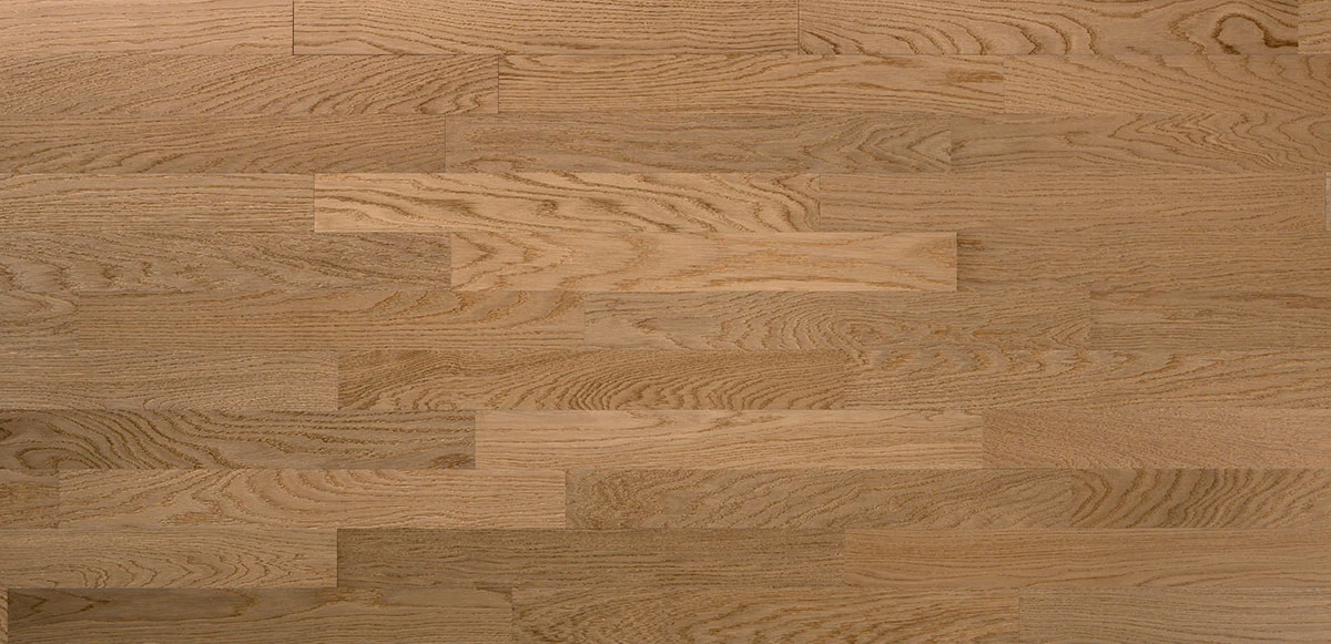 Mazzonetto Anticati: Oak Corda
