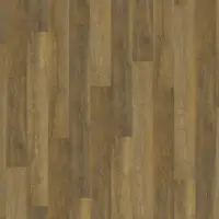 9042 Mango Oak