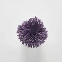 TT151 Grape
