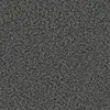 2156 Shadow