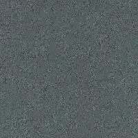 586