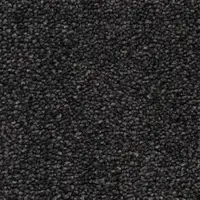 710790 Nero