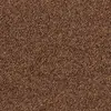 T371220 Kangaroo