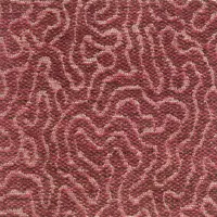 Coral 9003