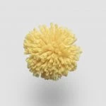 FdS Band 0 New Zealand Wool (W): W215 Lemon